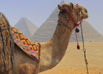 Égypte