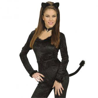 Accessoires costume "Sexy Cat" 3 pcs.