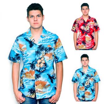 Chemise hawaïenne Aloha Island