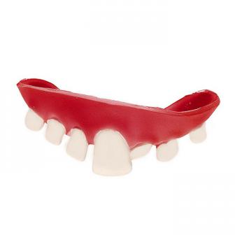 Dentition en plastique