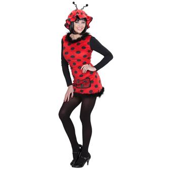 Costume "Coccinelle" avec robe en peluche 2 pcs.