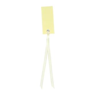 12 cartons nominatifs personnalisables avec ruban en satin - ivoire