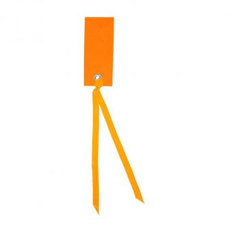 12 cartons nominatifs personnalisables avec ruban en satin - orange