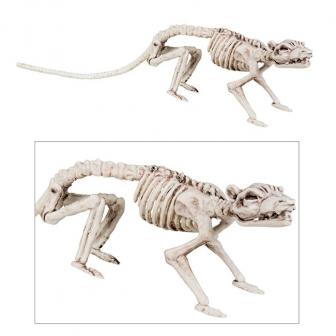 Déco "Squelette de rat" 38 cm