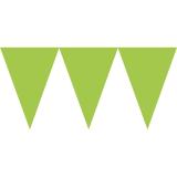Guirlande en papier unicolore "Jeux de couleurs" 4,5 m - vert