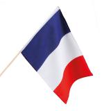 Drapeau "France" avec tige 30 x 45 cm 