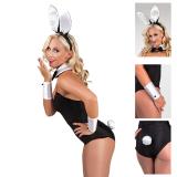 Costume de lapine sexy 4 pcs