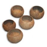 5 coupes en noix de coco 