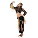 Costume "Princesse arabe" 4 pcs.