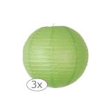 Einfarbige Lampions 3er Pack-25-cm-grün