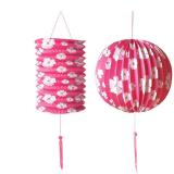 Lot de 2 lanternes "Couleurs fleuries" - rose vif
