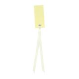 12 cartons nominatifs personnalisables avec ruban en satin - ivoire