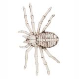 Déco de salle "Squelette d'araignée" 24 cm