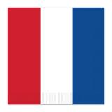 16 serviettes "France"