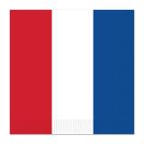 16 serviettes "France"