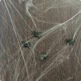 Toile d'araignée "Sombre donjon" 100 g
