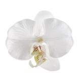 Elément de décoration "Grosse orchidée" lot de 4