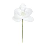 6 fleurs de déco "Petite orchidée" - blanc