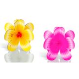 4 présentoirs "Fleurs d'hibiscus"