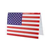10 cartons de table "USA"