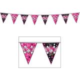 Guirlande de fanion "Pirate Girl" 10 m