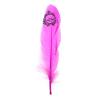 6 plumes de déco "Just Married" - rose vif