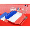 10 assiettes carrées en carton "Vive la France" - exemple