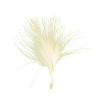 Plumes unicolores 20 pcs. - ivoire