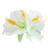 Pince pour cheveux "Hibiscus fleuri" blanc vue détaillée