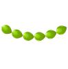 Guirlande de ballons 3 m - pomme vert