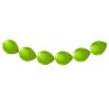 Guirlande de ballons 3 m - pomme vert