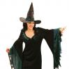 Costume "Effroyable sorcière" 2 pcs - détail