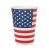 10 gobelets en carton "United States of America"