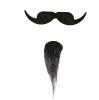 Moustache et bouc "Mousquetaire" 2 pcs. 2