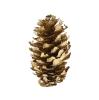 Déco de table "Boule de pin" 6 pcs. - doré