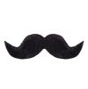 Moustache volumineuse 12 cm - 2 