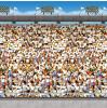 Déco murale "Grand stade" 1,2 x 9,1 m